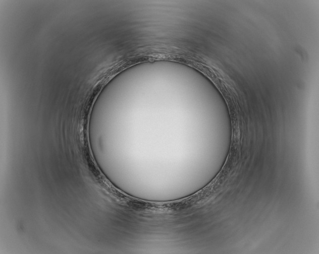 X0000111200696200907011030