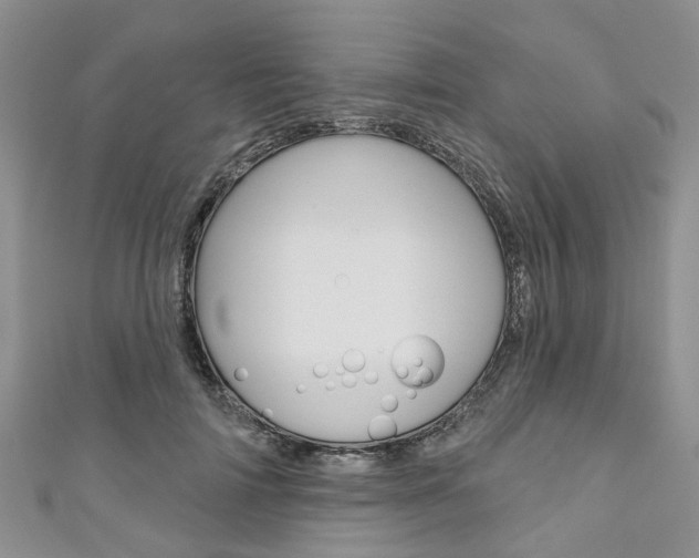 X0000111200698200907011030