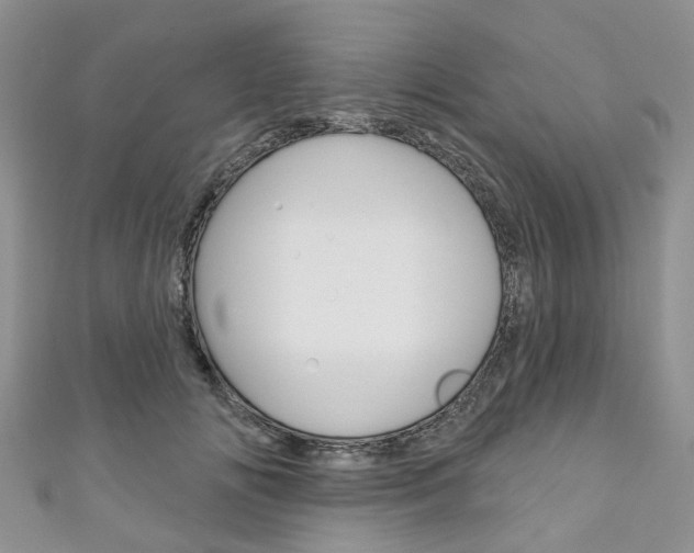 X0000111200702200907011030