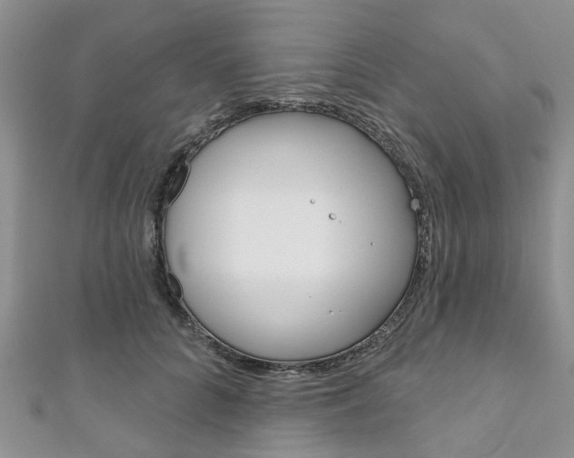 X0000111200704200907011030