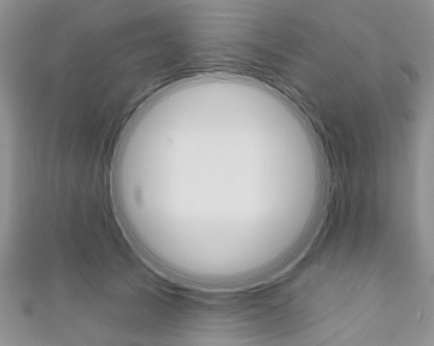 X0000111200705200907011030