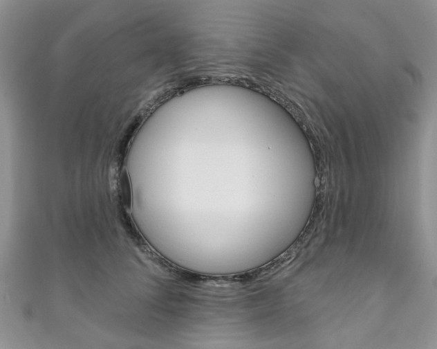 X0000111200708200907011030