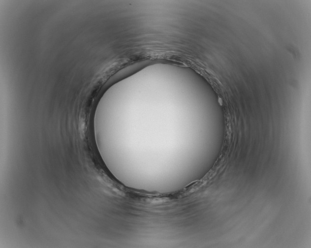 X0000111200716200907011030