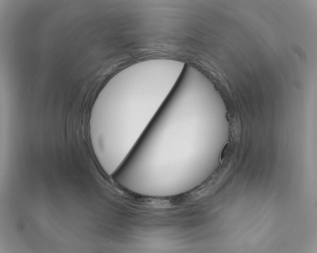 X0000111200719200907011030