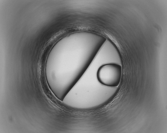 X0000111200722200907011029