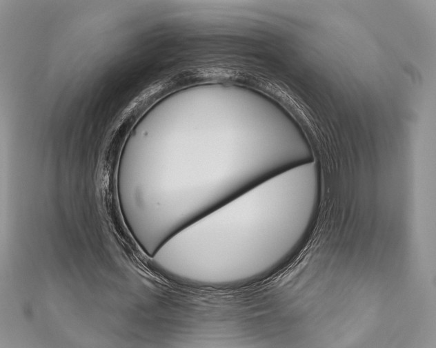 X0000111200723200907011029