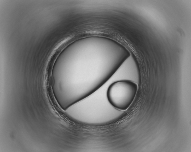 X0000111200724200907011029