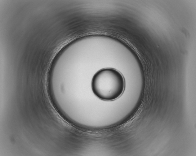 X0000111200725200907011029