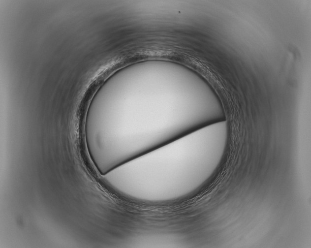 X0000111200727200907011029
