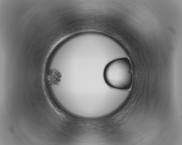 X0000111200728200907011029