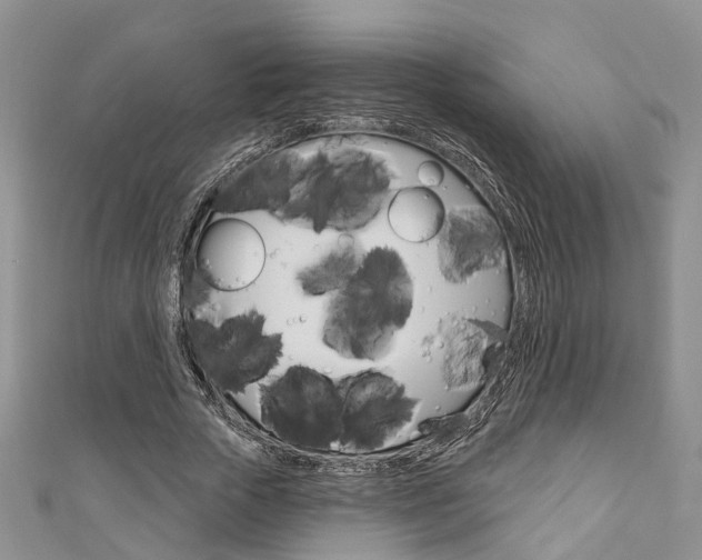 X0000111200729200907011029