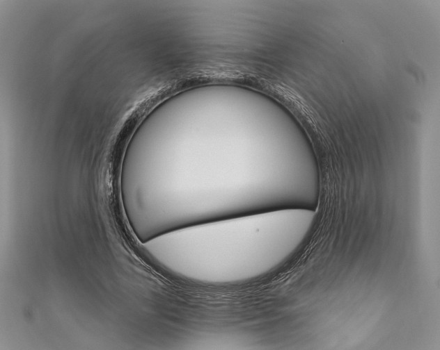 X0000111200731200907011029