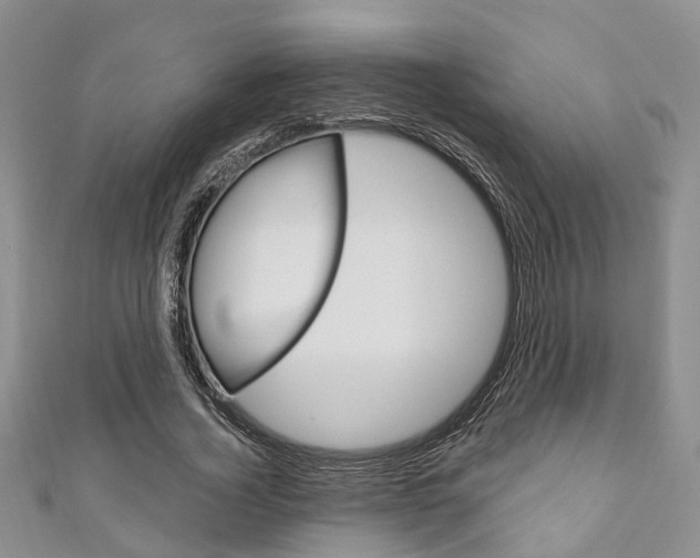 X0000111200732200907011029