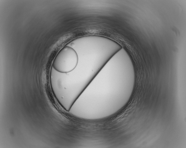 X0000111200734200907011029