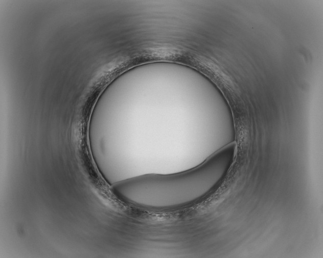 X0000111200736200907011029