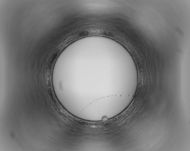 X0000111200737200907011029