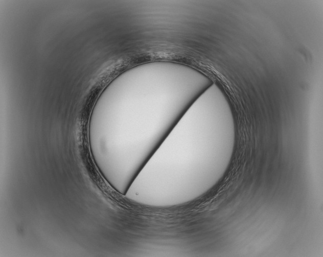 X0000111200738200907011029