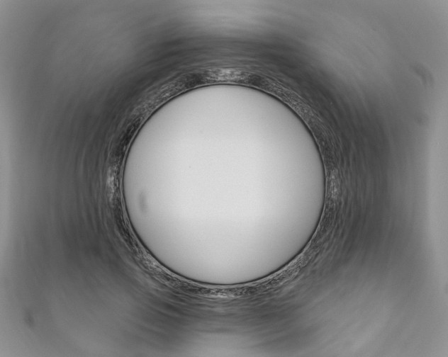 X0000111200741200907011029