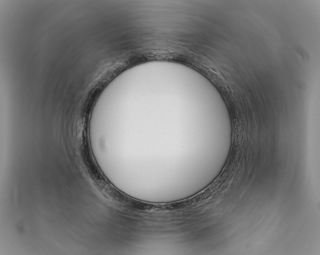 X0000111200742200907011029