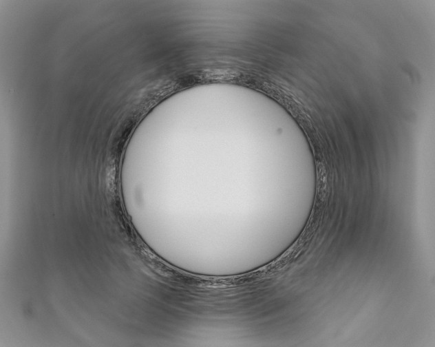 X0000111200745200907011029