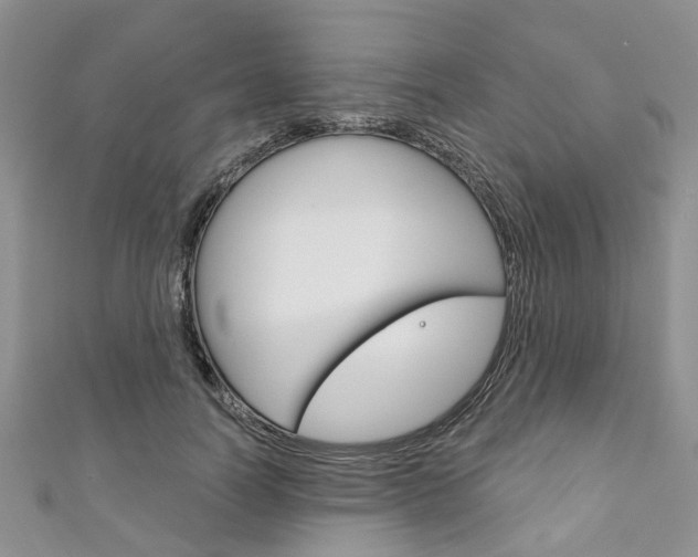 X0000111200746200907011029
