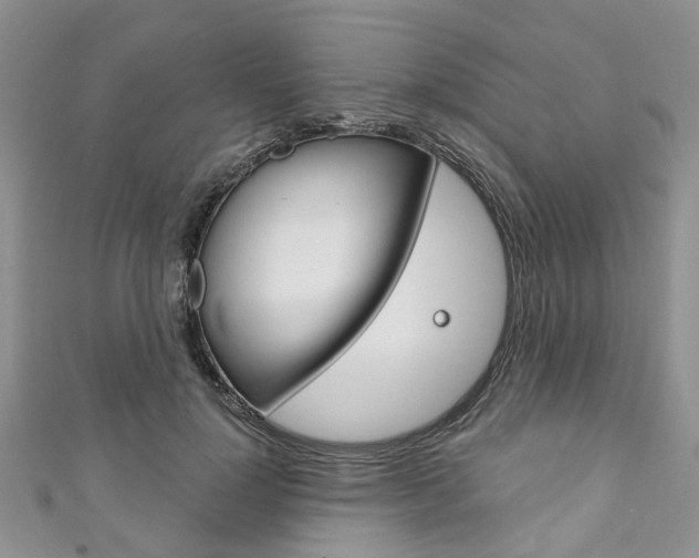 X0000111200748200907011029