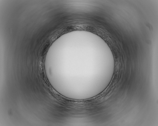 X0000111200749200907011029