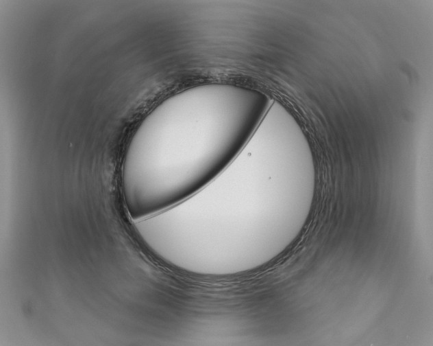 X0000111200750200907011029