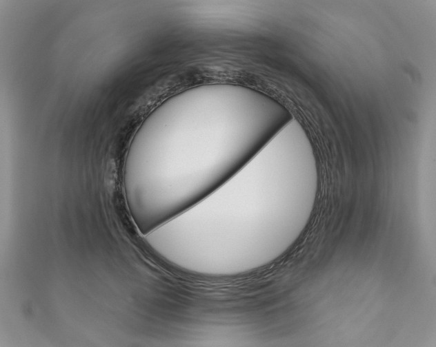 X0000111200752200907011029