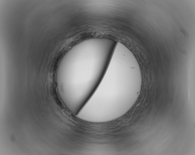X0000111200756200907011029