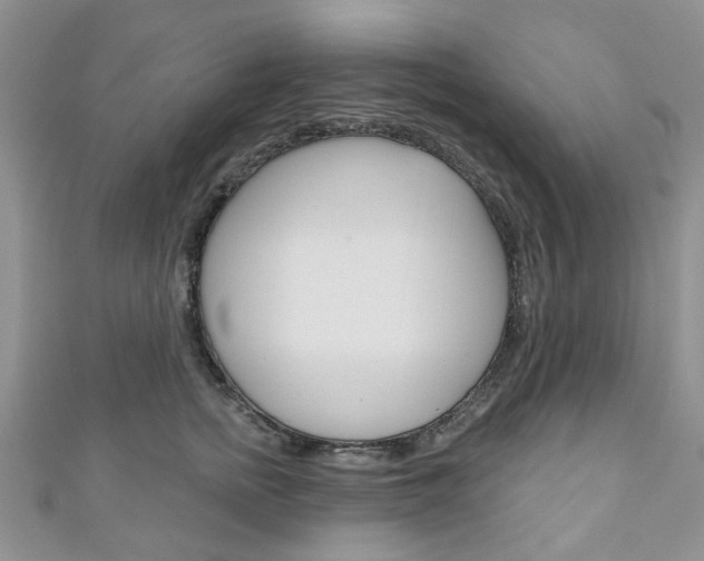 X0000111200758200907011029