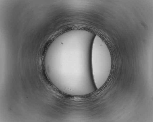 X0000111200759200907011029