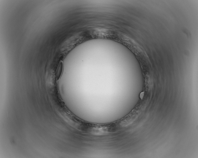 X0000111200760200907011029