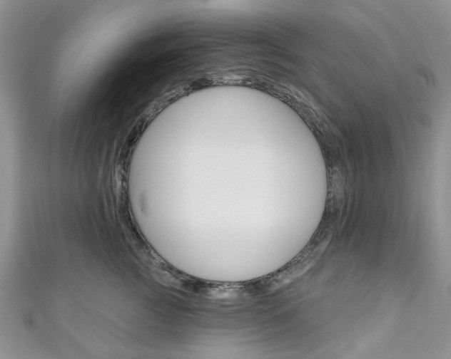 X0000111200761200907011029