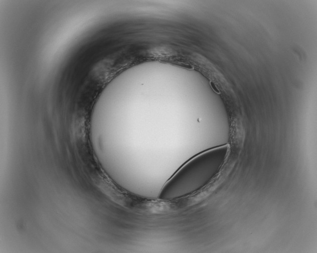 X0000111200762200907011029