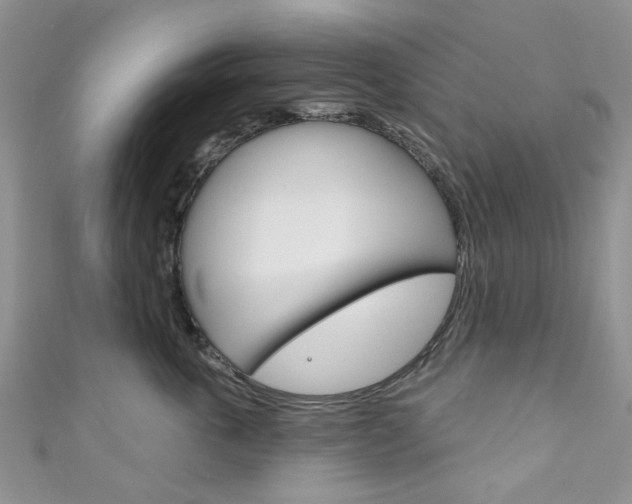 X0000111200763200907011030