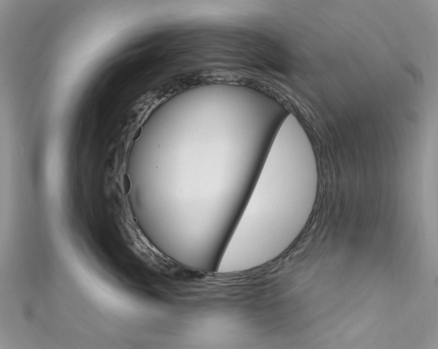 X0000111200764200907011030