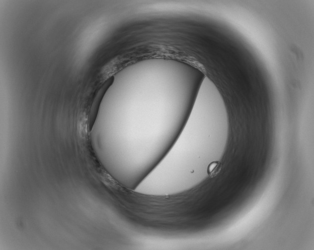 X0000111200766200907011030