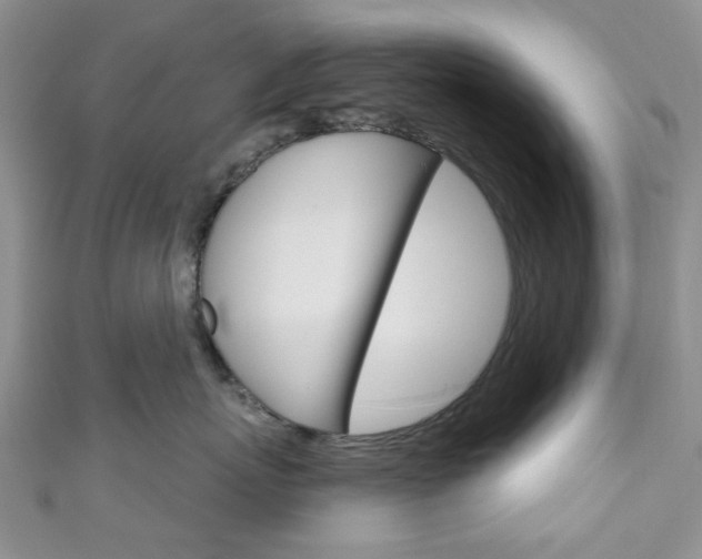 X0000111200767200907011030