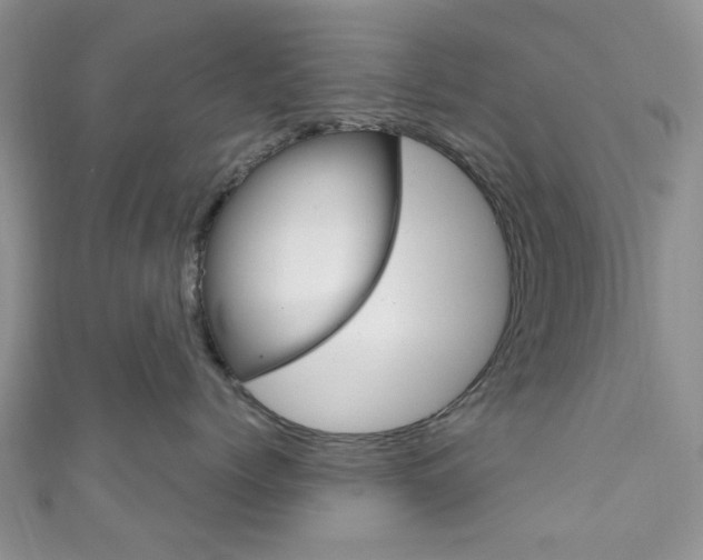 X0000111200768200907011030