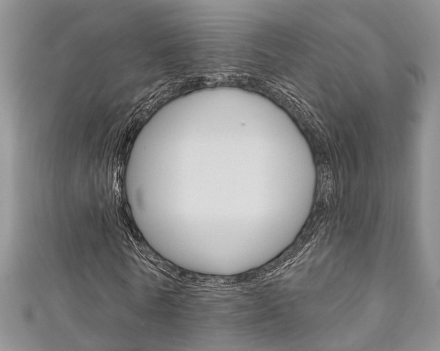 X0000111200770200907011029
