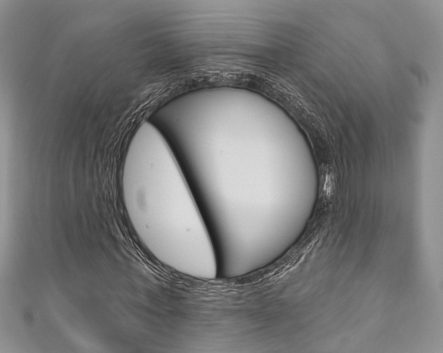 X0000111200771200907011029