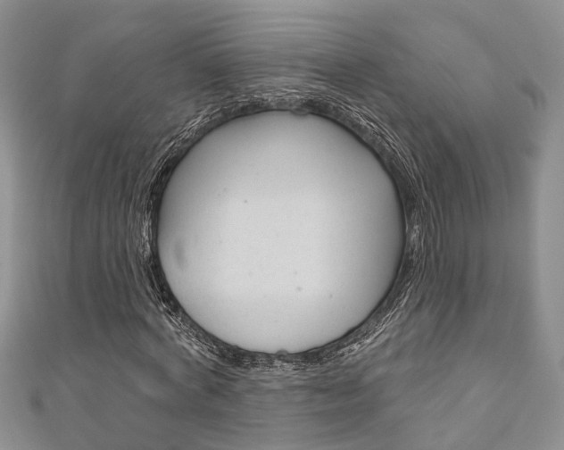 X0000111200772200907011029