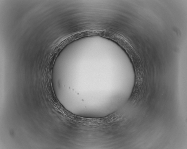 X0000111200773200907011029