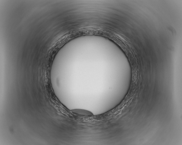 X0000111200774200907011029