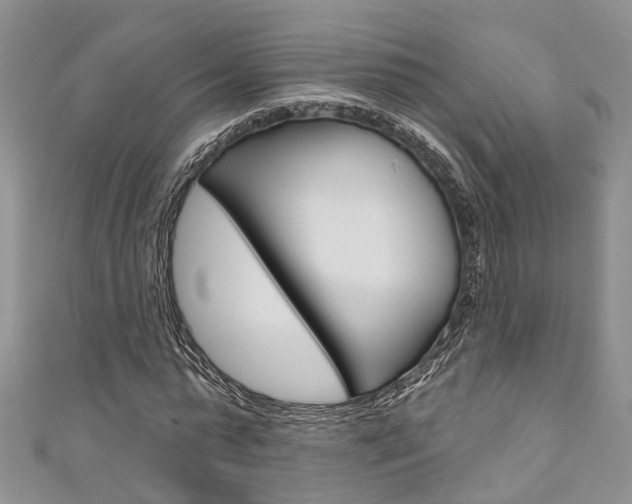 X0000111200775200907011029