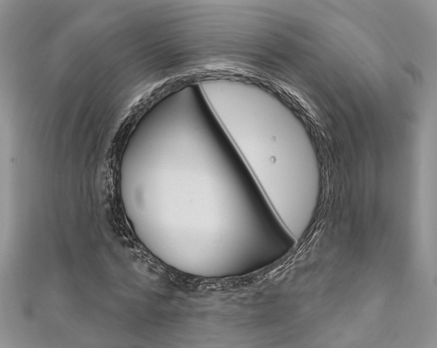 X0000111200776200907011029