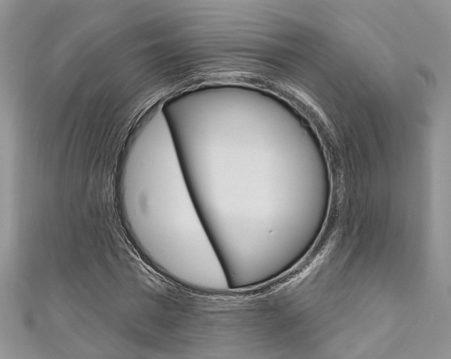 X0000111200777200907011029