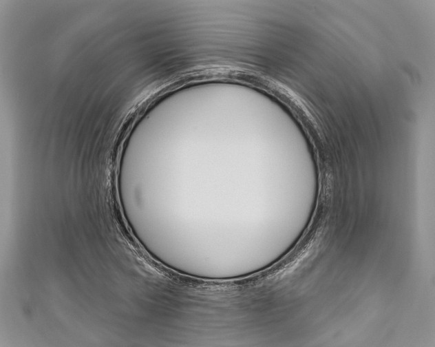 X0000111200778200907011029
