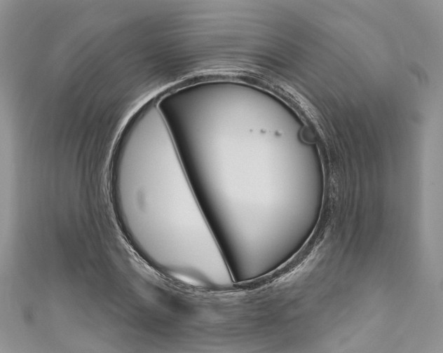 X0000111200779200907011029